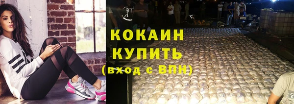 ПСИЛОЦИБИНОВЫЕ ГРИБЫ Осташков