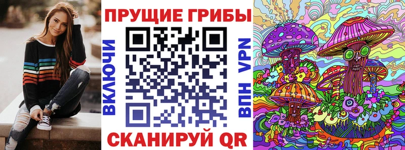 omg tor  Пушкино  Псилоцибиновые грибы GOLDEN TEACHER 