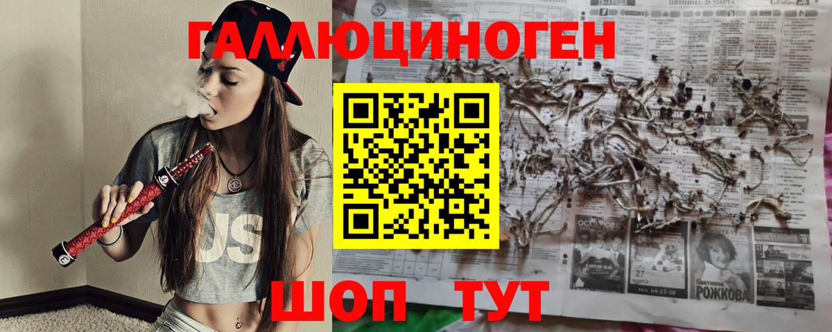 Псилоцибиновые грибы прущие грибы  Псилоцибиновые грибы Cubensis  Пушкино  Вход с VPN 