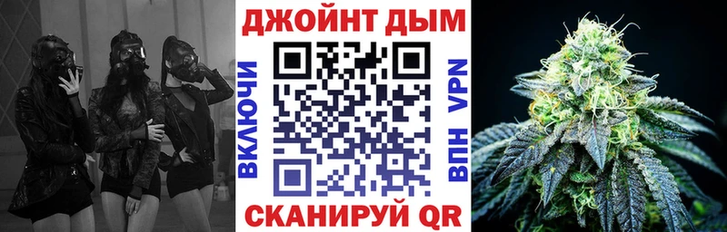 Канабис сатива Пушкино